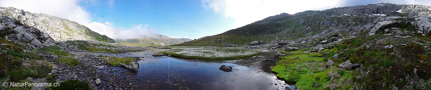 P002386: Panorama Morgenstimmung in Naturlandschaft