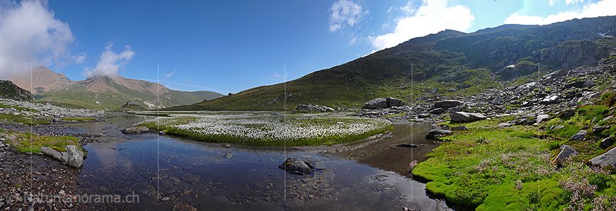 P002395: Panoramabild Kraftort: Wasserlauf und Wollgras