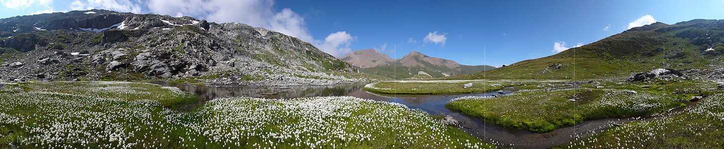 P002398: Panoramabild Wasserlauf und Wollgras