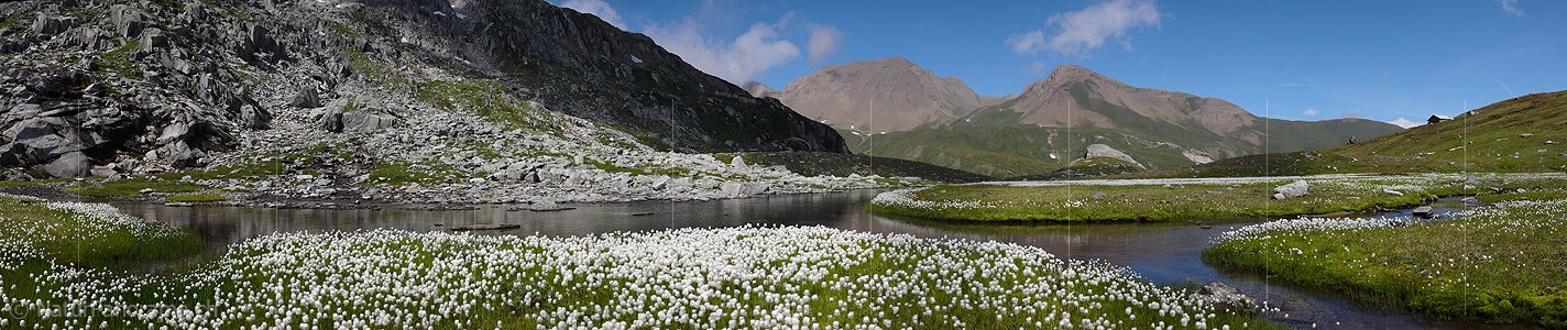 P002399: Panorama Wasserlauf und Wollgras