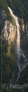 P002415: Panoramabild Wasserfall im Abendlicht