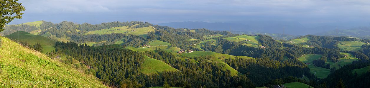 P002453: Grosspanorama Hügellandschaft