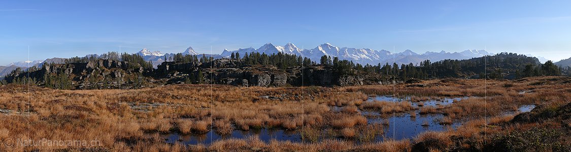 P002577: Panoramabild Hochmoor vor Berner Alpen