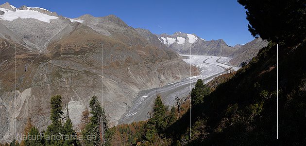 P002670: Grosspanorama Aletschwald