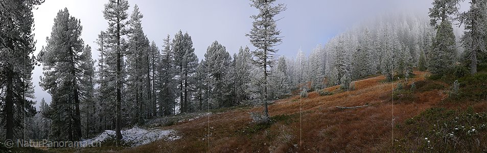 P002761: Panoramabild Märchenlandschaft