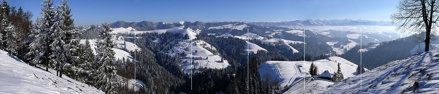 P002852: Panoramabild Schneelandschaft