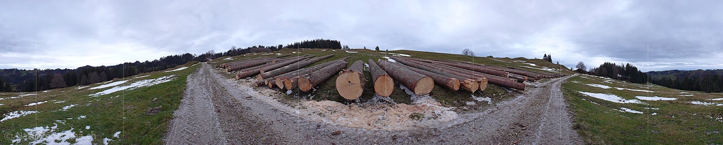 P002895: Panoramabild Holzschlag