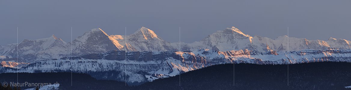 P003012: Panoramabild Eiger, Mönch und Jungfrau im Abendlicht