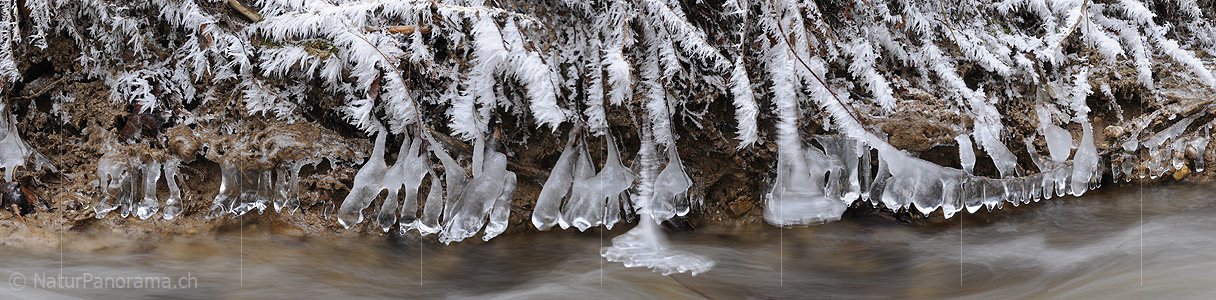 P003033: Panoramabild Raureif, Eisgebilde (Eisbirne) und Wasser