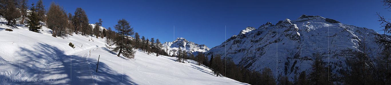P003043: Panorama Winterlandschaft Im Binntal