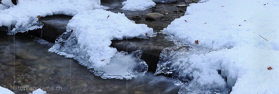 P003071: Panoramabild Eisgebilde in Bach