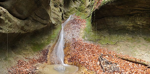 P003101: Panoramabild Wasserlauf in kleiner Schlucht