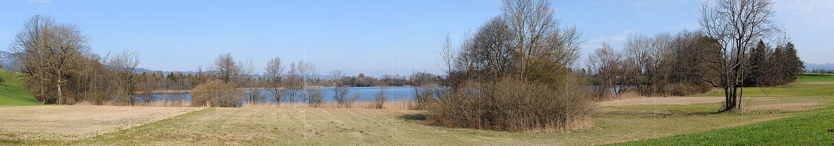 P003328: Panoramabild Riedlandschaft
