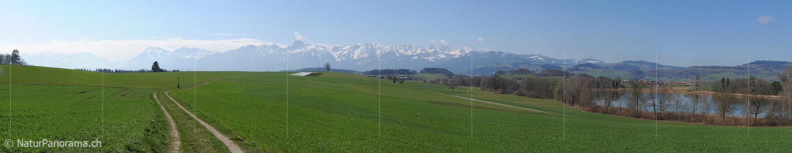 P003332: Panoramabild Gerzensee und Stockhornkette