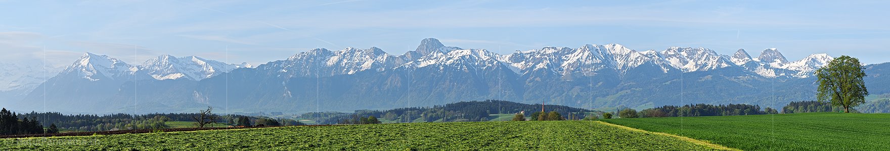P003471b: Panoramic photo of spring landscape with Stockhorn range and Gantrisch