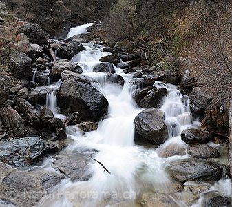 P003601: Panoramabild Langzeitbelichtung Bergbach