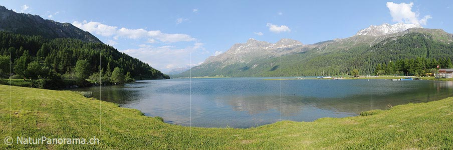 P003725: Panoramic photo silvaplanersee