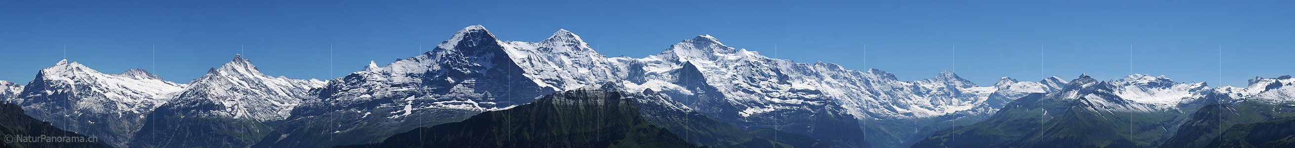P003892: Grosspanoramabild Dreigestirn und Berner Alpen von der Schynige Platte
