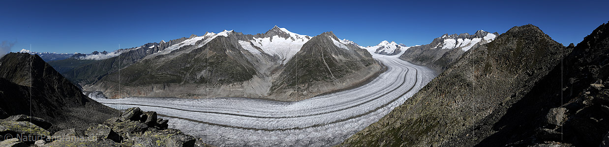 P004030c: Large panorama Great Aletsch glacier