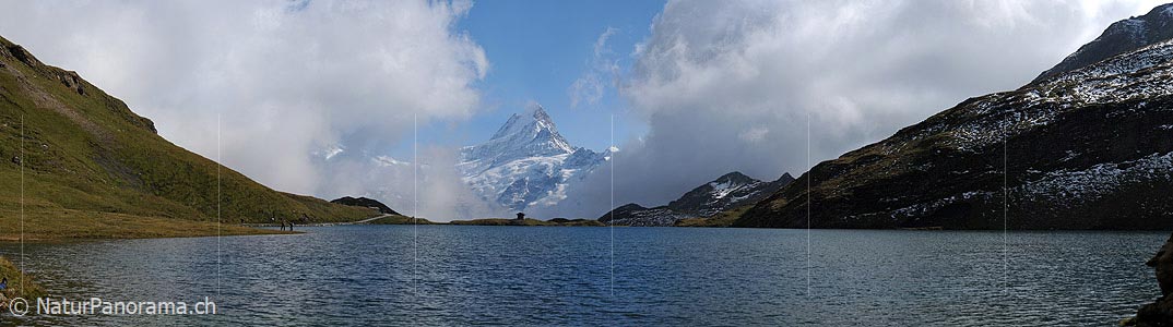 P004146: Panorama picture Bachalpsee and Schreckhorn