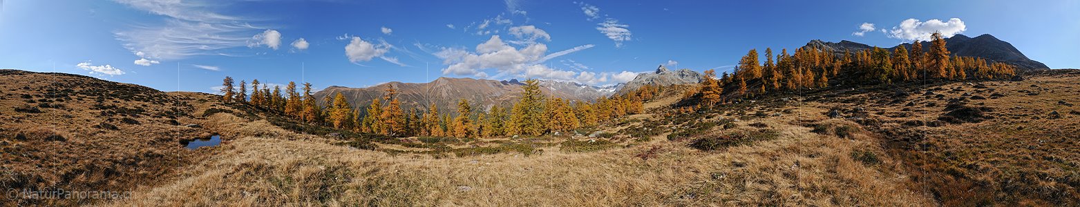 P004264: 360° Panoramabild Goldene Lärchen
