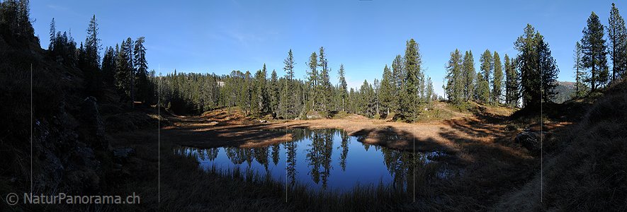 P004330: Grosspanorama Spiegelung in Waldsee