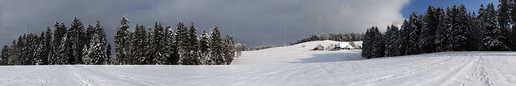 P004423: Grosspanoramabild Winter