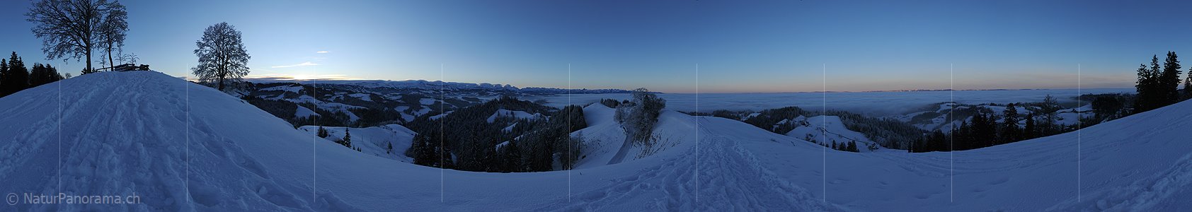 P004512: Panoramabild Wintermorgen mit Nebelmeer über dem Mittelland