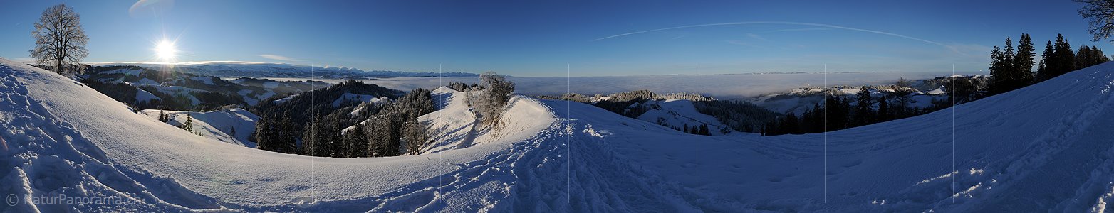 P004518: Panoramabild Morgenstimmung mit Nebelmeer über dem Mittelland