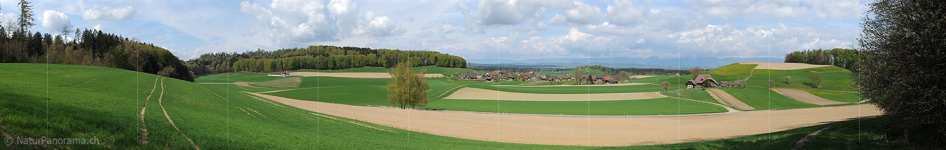 P004819: Grosspanoramabild Frühlingslandschaft mit Kulturland und Bauerndorf