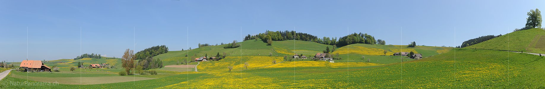 P004892: Panoramabild Frühling in Hügellandschaft