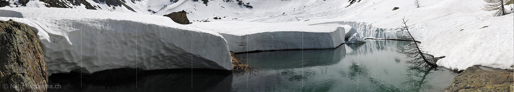 P005072: Panoramabild Wasserbecken im Frühling