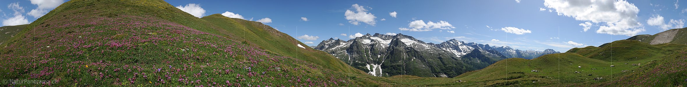 P005349: Panoramabild Bergsommer