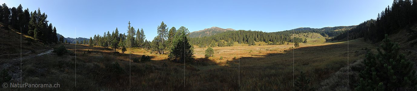 P005567: Grosspanoramabild Moorlandschaft (Seewen)