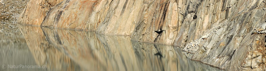 P005585: Panoramabild Spiegelung im Gruebensee (Gröebeseewli)