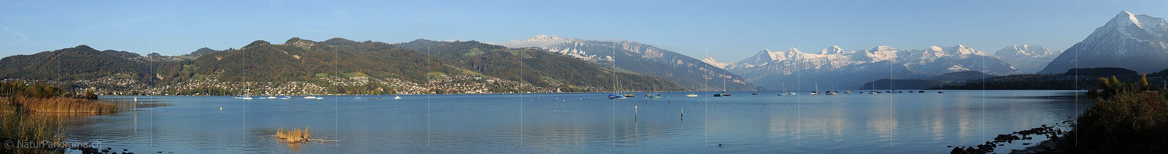 P005781: Panoramabild Herbstabend am Thunersee (Alpenrandsee)
