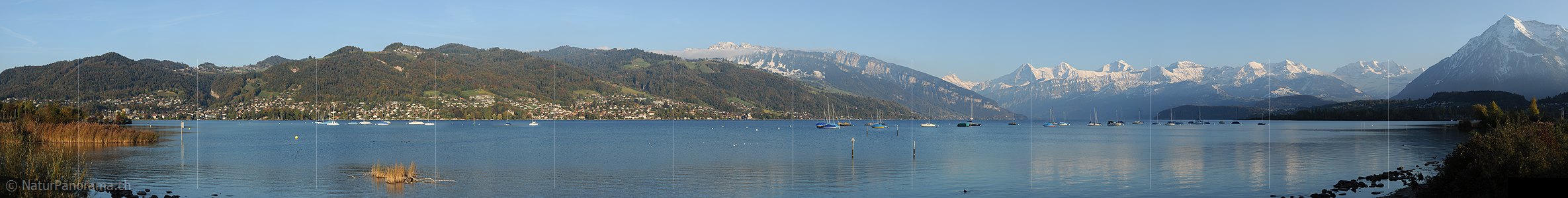 P005781d: Panoramic photo autumn evening at Lake Thun