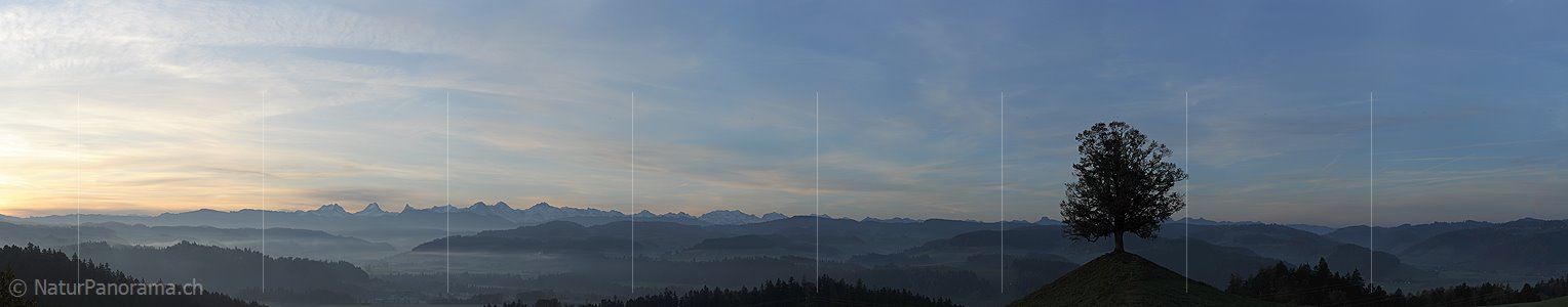 P005794: Panoramabild Berner Alpen