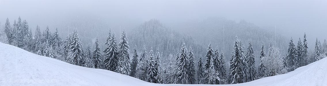 P005911: Panoramabild Schneefall