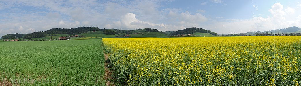 P006107: Panorama Frühlingslandschaft im Emmental