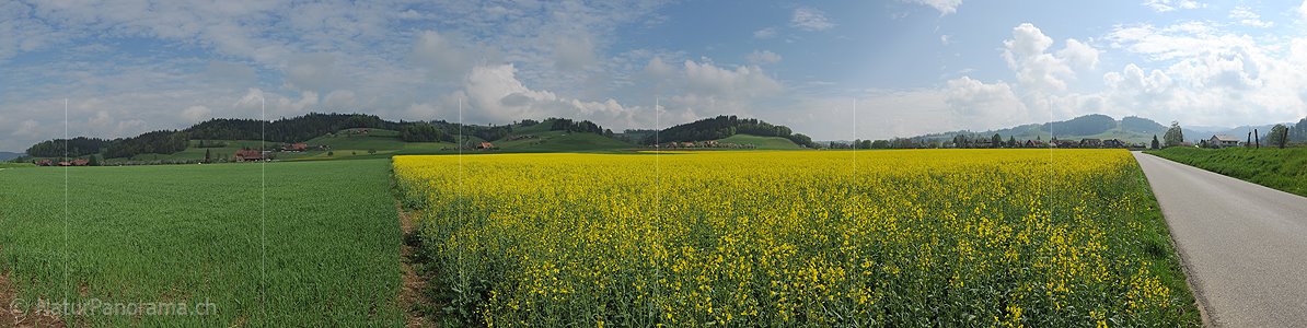 P006108: Panorama Frühlingslandschaft