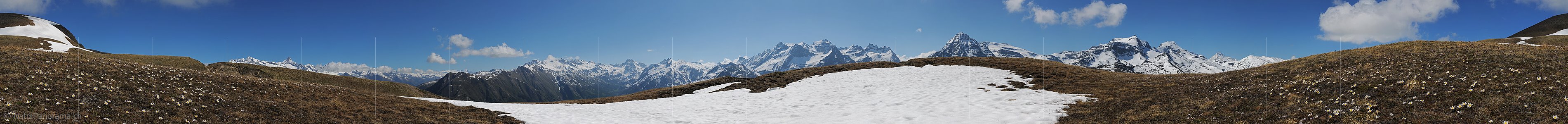 P006226: 360-Grad Panoramabild mit zahlreichen Berggipfeln und Pelzanemonen