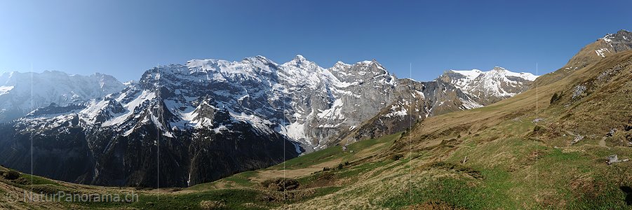 P007515: Panoramabild Gspaltenhorngruppe