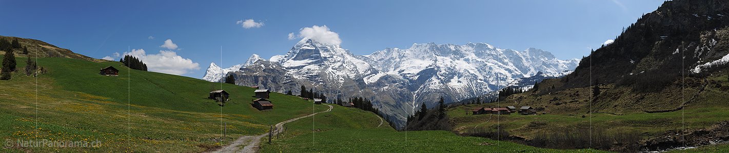 P007530: Panoramabild Spilbodenalp, Mürren