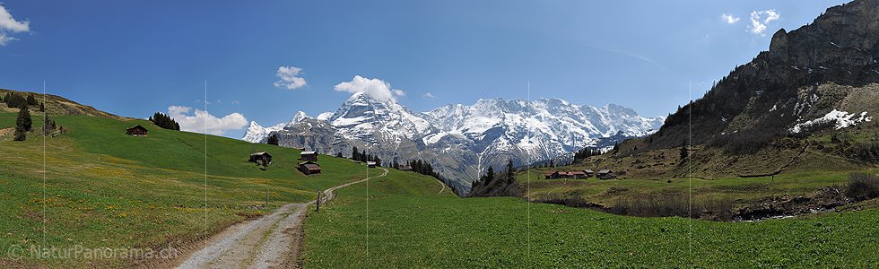 P007533: Panoramafoto Alpweide bei Mürren (Jungfrauregion)