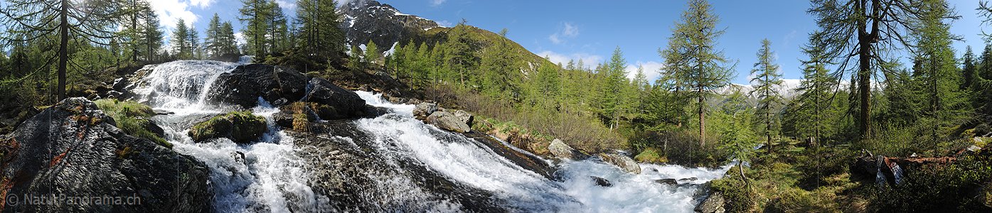 P007622: Panorama Wasserfall in lichtem Lärchenwald (Bergbach)