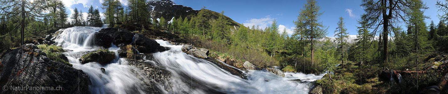 P007623: 360° Panorama Wasserfall in lichtem Lärchenwald (Langzeitbelichtung)