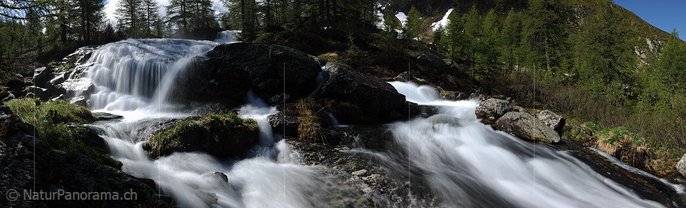 P007625: Panoramafoto Wasserfall in lichtem Lärchenwald (Bergbach)