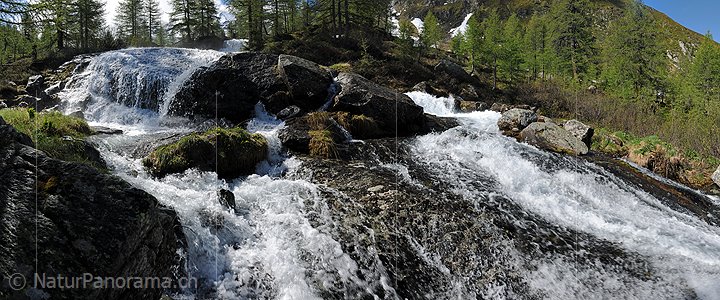P007628b: Grossbild Wasserfall in leichtem Lärchenwald