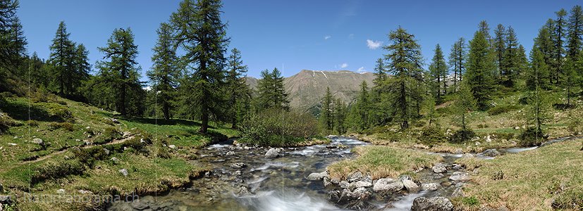 P007648: Panoramafoto Bergbach in Naturlandschaft